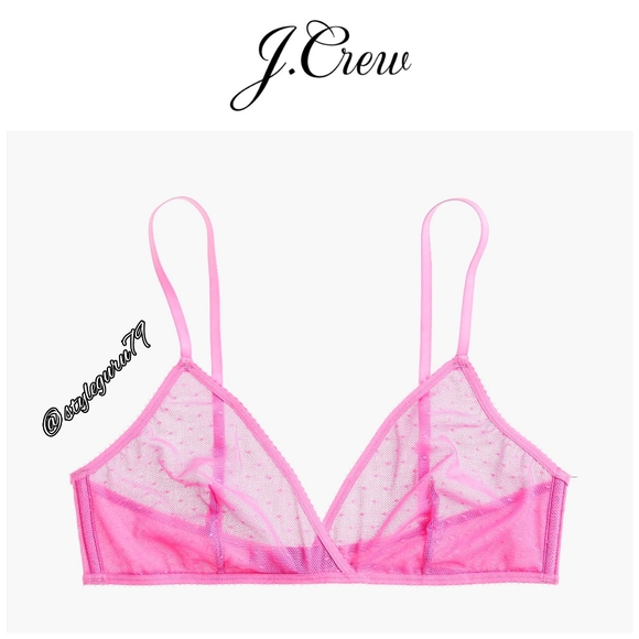 J. Crew Other - NWT, J. Crew, Point D'Esprit French Bralette